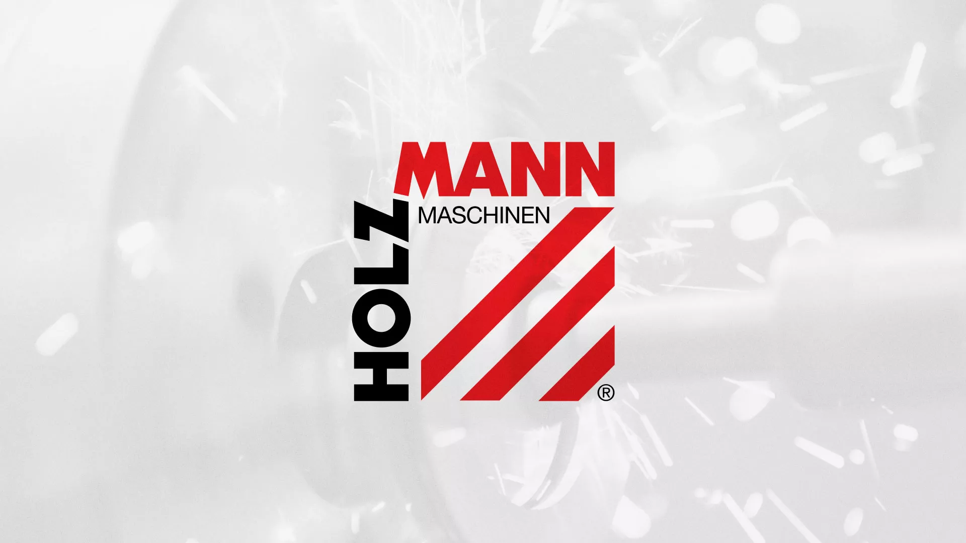 Создание сайта компании «HOLZMANN Maschinen GmbH» в Дзержинске